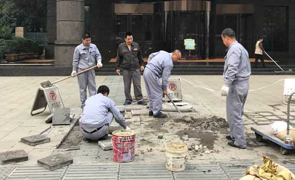 鋪出一條路，譜出一片情